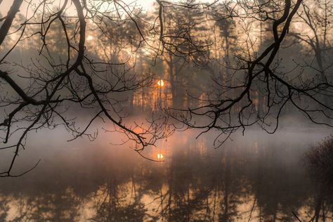 Southern Gothic, Season Of The Witch, Autumn Aesthetic, Samhain, Nature Aesthetic, Pretty Places, Aesthetic Photo, Fall Vibes, Mother Nature