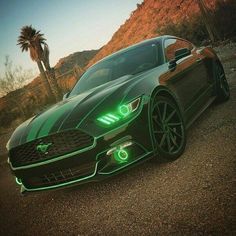 Mustang borderline g Gt500 Mustang, Green Mustang, Mustang Gt500, 2015 Mustang, Reliable Cars, Ford Racing, Pony Car, Mustang Cars, Ford Gt