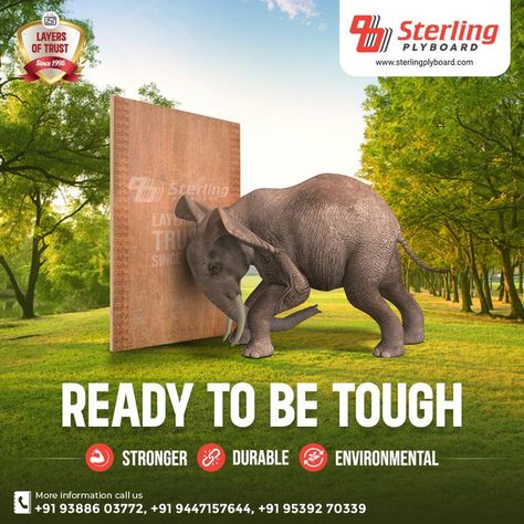 Sterling's plywoods are stronger and more durable that can be used for a different purposes. You can modify it to suit an extensive range of structural, interior and exterior applications. You only need to know which is the right plywood to use. To know more about the products contact us. To know more about the products contact us. 🌐 www.sterlingplyboard.com 📍 Elambakapilly, Perumbavoor, Kerala 📲 9447157644, 09388603772, 09539270339 #SterlingPlyboards #Plywood #HighQualityPlywood Digital Advertising Design, Indian Illustration, Creative Banners, Social Media Advertising Design, Graphic Design Resume, Balloon Decorations Party, Work Inspiration, Social Media Banner, Illustration Girl