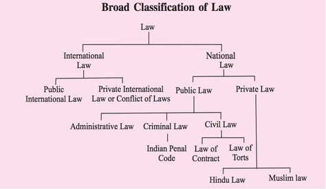 Law Notes Dynamo: Classification of Law Constitutional Law Notes, Indian Law Notes, Lawyer Motivation, Law Facts, Aesthetic Lawyer, Legally Brunette, Law School Preparation, Law Study, Law Career