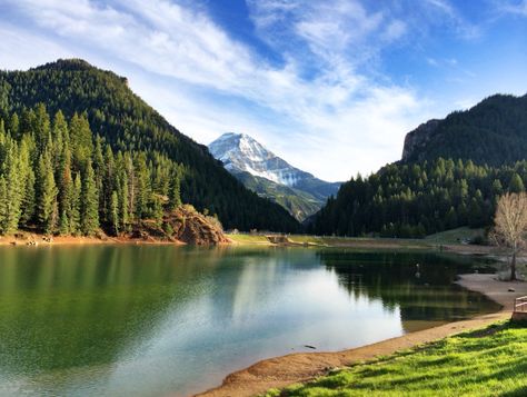 Tibble Fork Reservoir American Fork Canyon, Utah Photo by April Slaughter Tibble Fork Reservoir, American Fork Canyon, Utah Adventures, Adventure Camping, Inspirational Images, Utah, Camping, Lost, Natural Landmarks