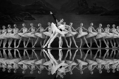 Ballet History: Timeline, Facts and Stages of ballet | DanceBibles Classical Dance, History Timeline, 15th Century, Present Day, The Present, Art Forms, Ballet Dance, Art Photography, Ballet