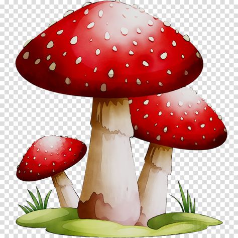 Mushroom Cartoon, Cartoon Grass, Mushroom Background, Mushroom Clipart, Red And White Mushroom, Mushroom Images, Cartoon Mushroom, Green Leaf Background, Clip Art Free