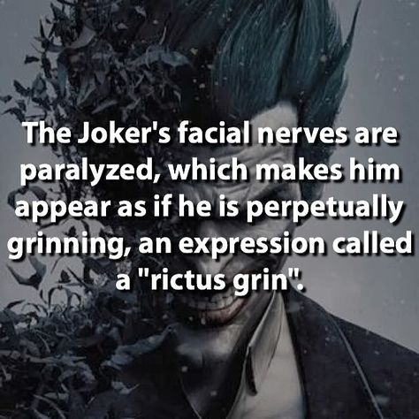 Interesting... "rictus grin" that's Joker!!! - visit to grab an unforgettable… Jokers Smile, Joker Facts, Dc Comics Facts, Dc Facts, Superhero Facts, Der Joker, Super Hero Shirts, True Fact, Marvel Facts