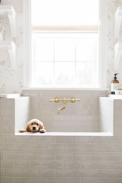 6 Major Design Trends for 2022 - The Tile Shop Blog Mudroom Addition, Style Me Pretty Living, Dog Washing Station, Desain Pantry, Mudroom Laundry Room, Bath Tiles, Dog Wash, Dog Shower, Dog Rooms