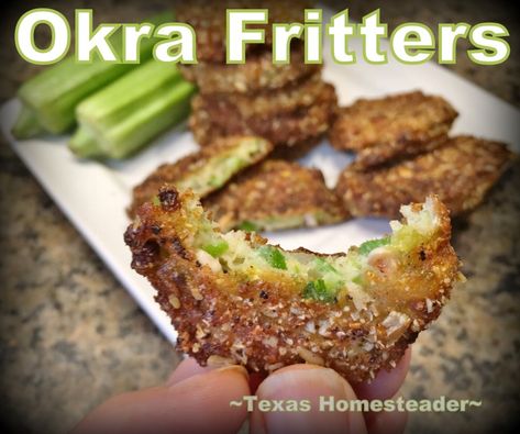 What To Do With Okra, Fresh Okra Recipes, Easy Fried Okra, Okra Patties Recipe, Okra Fritters, Homesteading Inspiration, Fresh Okra, Egg Fry, Fried Okra