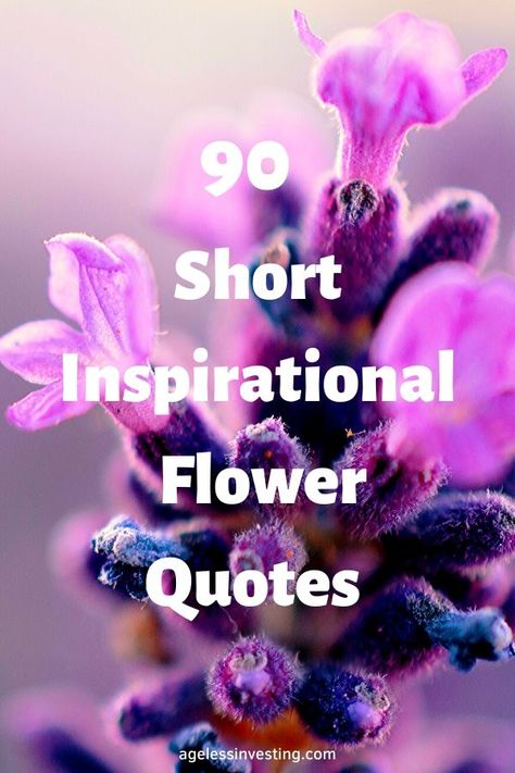 90 inspirational, funny, cute, sad, and deep flower quotes to share love and beauty. A blooming flower is one of the most beautiful sights in the world. Flowers teach about love, life, and gratitude. They remind you to stop and be thankful for the blessings in your life while they are here. They also are an example of love and sacrifice, a flower dies to make way for a new life. They may be small and delicate, but they are full of wisdom. #flowerquotes #flowers #beautiful #quotes Flower And Woman Quotes, Be A Flower Quotes, Quotes About Getting Flowers, Happiness Blooms From Within Quotes, Advice From A Flower, The Power Of Flowers, Beautiful Quotes About Flowers, Quotes About Smelling The Flowers, Life Is Blessing Quotes