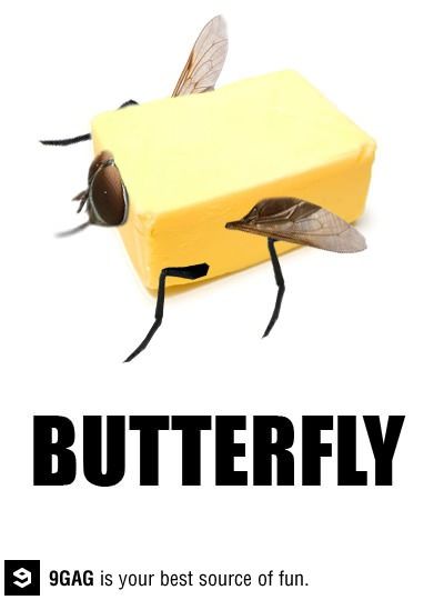 The Butter Fly Funny Greek Quotes, Funny One Liners, What Do You Meme, Dry Humor, Jokes Videos, Funny As Hell, Funny Cartoons, Bones Funny, Just For Fun