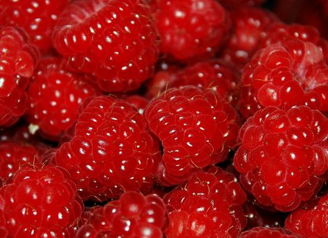 Raspberries Aesthetic, Popsicle Aesthetic, Raspberry Aesthetic, Berry Delight, Rotten Fruit, Fairy Food, Berry Berry, Fruit Picture, Cream Aesthetic