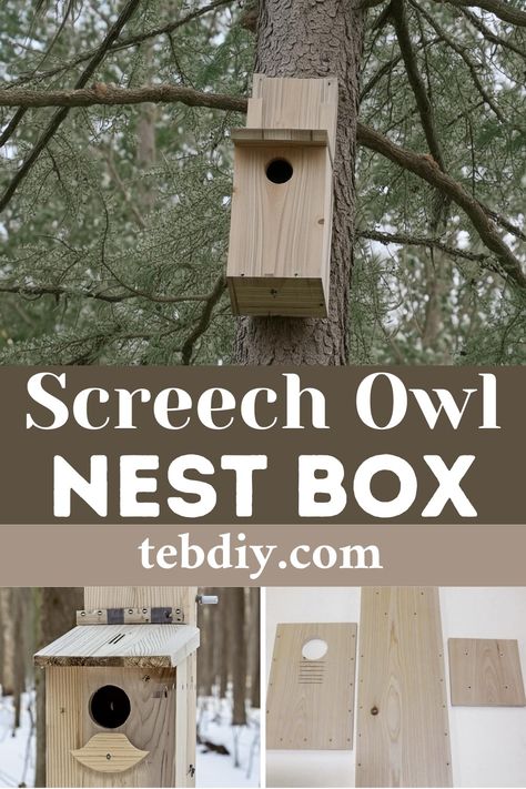 How To DIY Screech Owl Nest Box Using Cedar Owl Box Diy, Owl Boxes, Owl Nest Box, Owl Nest, Eastern Screech Owl, Owl Box, Nest Box, Screech Owl, Nesting Box