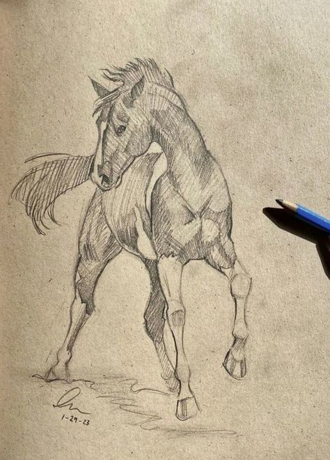 Horse And Rider Drawing, Drawing Ideas Horse, Horse Drawing Ideas, Horse Face Drawing, Horse Sketch Art, Horse Sketches, Aesthetic Drawing Ideas, Horse Art Ideas, Bible Drawings