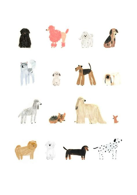 Dog Illustrations, 강아지 그림, Animal Illustrations, Arte Animal, Dog Illustration, Racoon, Dog Drawing, Art Plastique, Art And Illustration