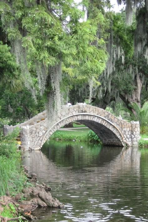 Natureland — heyfiki:   City Park, New Orleans, Louisiana House Bridge, Bridge Aesthetic, City Park New Orleans, Arched Bridge, Carpet Ideas 2023, Ideas Garden Design, Old Bridges, Cottage Aesthetic, Carpet Ideas