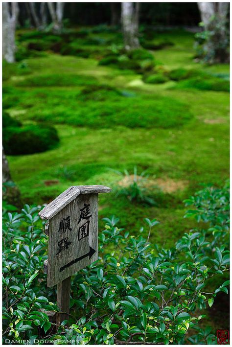 Direction Sign, Moss Garden, Directional Signs, Japanese Garden, Kyoto, Bird House, Bend, Temple, Yard