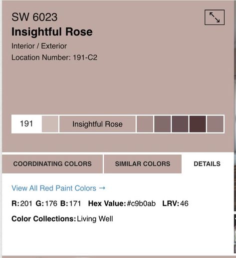 Insightful Rose Sherwin Williams, Rose Paint Color, Red Paint Colors, Nursery Room Design, Sherwin Williams Paint Colors, Neutral Bedroom, Paint Projects, Exterior Paint Colors, Paint Stain