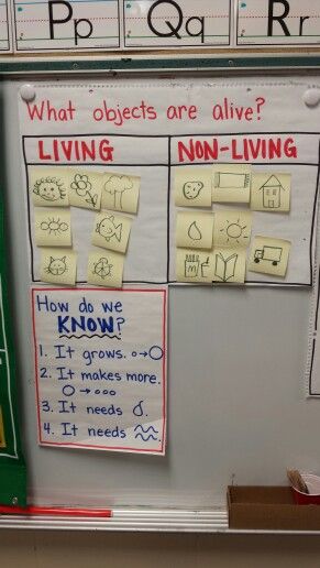 Science anchor chart - What is living and non-living? How do you know if it is alive? Ideas were student suggestions during the lesson. Living Nonliving Anchor Chart, Living And Nonliving Anchor Chart, Living Vs Non Living Anchor Chart, Living Vs Non Living Activities, Living Things Anchor Chart, Living And Non Living Things Chart, Living And Nonliving Kindergarten, Living Vs Non Living, Ckla Kindergarten