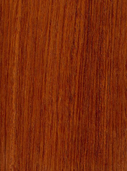 Burma Padauk (sealed) Wood Identification, Teak Wood Texture, Veneer Texture, Wood Floor Texture, Corner Bookshelves, Floor Texture, Orange Wood, Wood Wallpaper, Zebra Wood