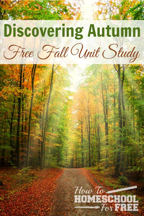 FREE Autumn Unit Study                                                                                                                                                                                 More Fall Weather Lesson Plans, Preschool Fall Unit Study, Free Fall Unit Study, Fall Leaves Unit Study, Autumn Unit Study, Pumpkin Nature Study, Fall Nature Study, Fall Unit Study, Fall Nature Study Homeschool