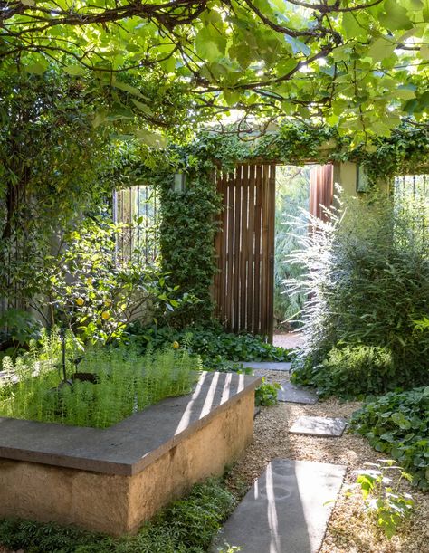 The Perfect Mid-Century, NSW South Coast Beach House Is For Sale Small Walled Garden Ideas, Hidden Garden Ideas, Magical Landscaping, Simple Gardens, Courtyard Wall, Urban Courtyards, Terracotta Garden, Terraced Garden, Letchworth Garden City