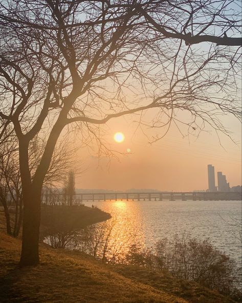 River Sunset, Han River, River Landscape, I Want To Eat, Not Enough, So Beautiful, Seoul, I Want