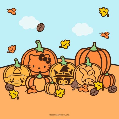 Check out the link to download our pumpkin carving stencils! 🎃 Sanrio Pumpkin Carving, Sanrio Pumpkin, Hello Kitty Halloween Wallpaper, Hello Kitty Pumpkin, Cute Pumpkin Carving, Kitty Items, Halloween Cats, Hello Kitty Themes, Pumpkin Carvings Stencils