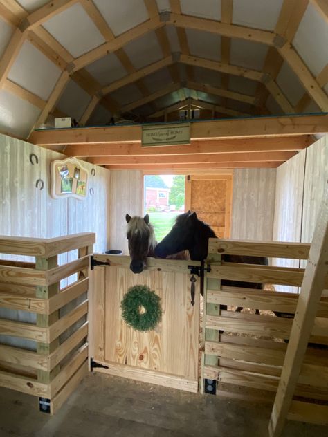 Diy Mini Pony Shelter, Small Horse Stable Ideas, Mini Horse Shelter, Small Barn Layout, Mini Horse Stall, Mini Cow Barn, Small Stable Ideas, Horse Stall Ideas Diy, Small Horse Barn Ideas