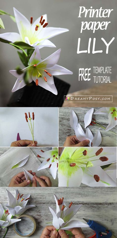 Paper Lily, free template and tutorial, paper flower tutorial Paper Lily Flower, Paper Lilies, Construction Paper Flowers, Paper Lily, Neli Quilling, Construction Paper Crafts, Fleurs Diy, Rainbow Paper, Paper Flower Template