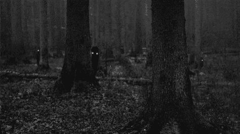 Scary Pics, Ed E Lorraine Warren, Halloween Tumblr, Dark Illustration, Creepy Gif, Halloween Gif, Creepy Horror, Forest Background, Pagan Witch