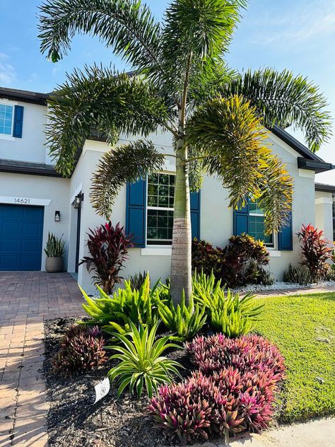 20 Best Landscaping Ideas for a Large Front Yard (2023) Florida Plants Landscaping, Full Sun Landscaping, Best Landscaping Ideas, Palm Trees Landscaping, Florida Landscape, Florida Landscaping, Florida Plants, Tropical Garden Design, Tropical Backyard