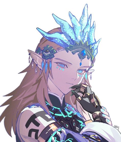 Frostbite Armor, French Anime, Legend Of Zelda Characters, Nintendo Fan Art, Link Art, Link Zelda, Zelda Art, Legend Of Zelda Breath, Zelda Breath