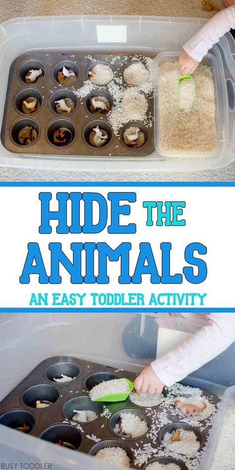 Hide the Animals: Quick Sensory Bin - easy indoor activity for toddlers. quick toddler activity; sensory bin Animals Sensory Bin, Indoor Activity For Toddlers, Easy Indoor Activities, Activity Sensory, Indoor Activities For Toddlers, Activity For Toddlers, Easy Toddler Activities, Toddler Sensory, Toddler Activity