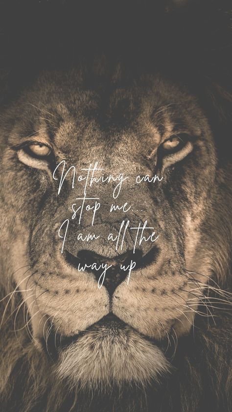 Lion Motivation Wallpaper, Motivation Wallpaper, Lion Artwork, Lion Wallpaper, Lion Canvas, Like A Lion, A Lion, Lion, Canvas