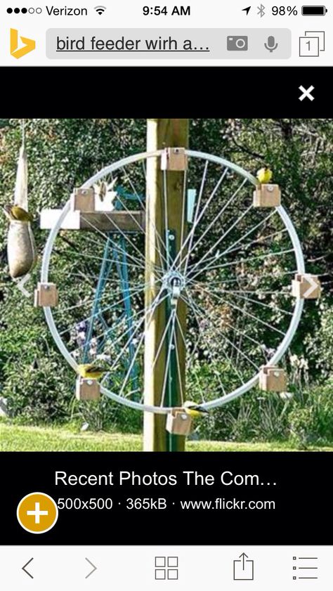 Love this Bicycle Art Recycled, Bird Feeder Station, Backyard Birds Feeders, Squirrel Feeders, Bird House Feeder, Bicycle Decor, Diy Bird Feeder, Diy Birds, Bicycle Wheel