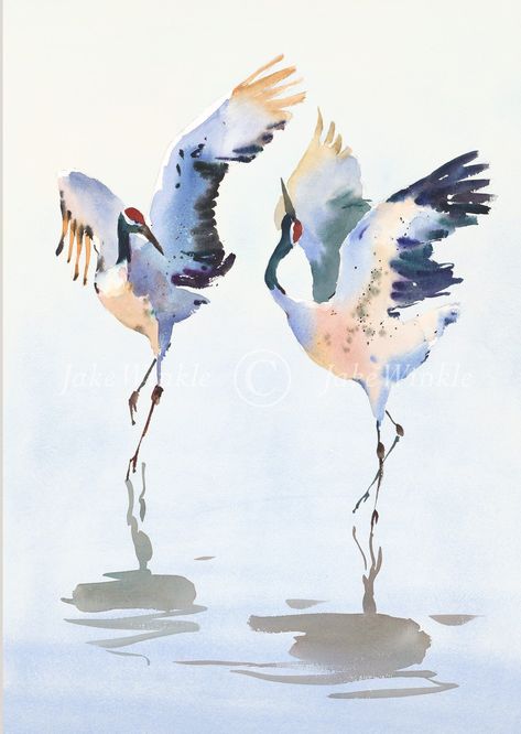 Crane Jive - Framed in black limed moulding... Crane In Water, Watercolor Illustration Ideas, Water Colour Birds, Bird Movement, Exotic Illustration, Crane Watercolor, Heron Watercolor, Crane Painting, Crane Art