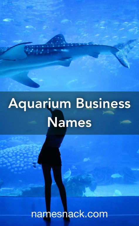 Unique and creative names for your aquarium business. Aquarium Shop, Aquarium Maintenance, Free Logos, Catchy Names, Modern Names, Home Aquarium, Creative Names, Fish Logo, Pet Fish