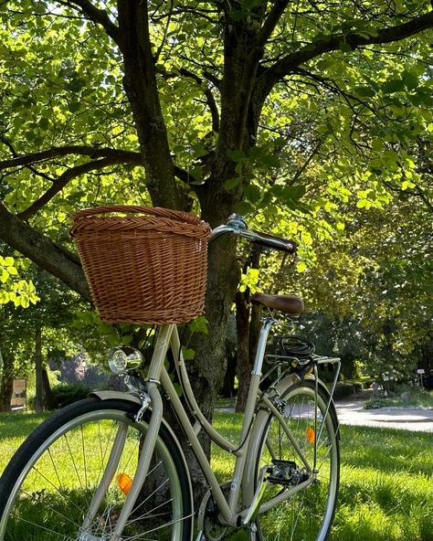 Bike Aesthetic Vintage, Vintage Bike Aesthetic, Riding Bike Aesthetic, Biking Aesthetic, Ahs Style, Bike With Basket, Bike Aesthetic, Dream Bike, Riding Bike