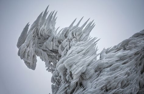 Spectacular Ice Formations Atop a Windswept Mountain in Slovenia  http://www.thisiscolossal.com/2014/12/spectacular-ice-formations-atop-a-windswept-mountain-in-slovenia/ Ice Art, Ice Storm, Ice Sculptures, Winter Beauty, Snow And Ice, Winter Wonder, Extreme Weather, Winter Photography, Ski Resort