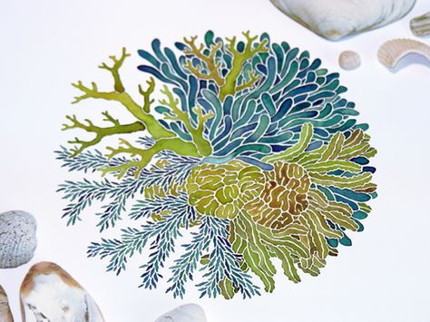 These hand-painted illustrations were created in 2010 as a personal exploration. Sea Anemone Drawing, Anemone Drawing, Sea Plants, Coral Art, Sea Life Art, Sea Anemone, Watercolor Plants, Painted Letters, Sketch Inspiration