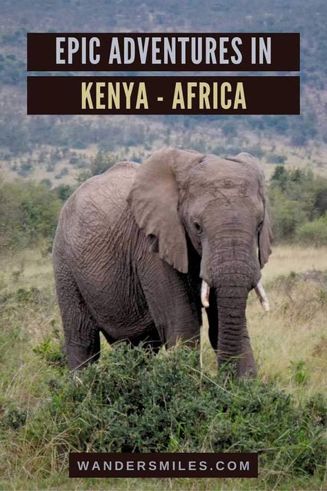 Guide to epic adventures in Kenya | What is the main activity in Kenya? | Big Five safari | Masai Mara Game Reserve | Great Rift Valley | Mount Longonot Hike | Visit Lake Naivasha | Cycling in Hell’s Gate National Park | Best Adventurous Things to Do in Kenya | Menengai Volcano | Safari Wildlife Spotting Packing For Kenya, Kenya Packing List, Kenya Trip, Travel Safari, Female Packing List, Africa Vacation, Africa Adventure, Africa Trip, Africa Travel Guide