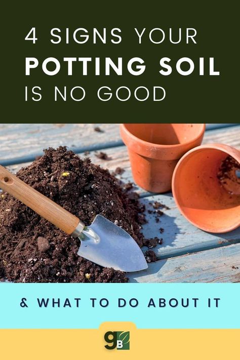 Soil is a critical part of any garden, and if you're not sure whether your potting soil has gone bad or not, this guide will help. We'll show you the four signs that your soil has gone bad, as well as tips on how to revive it. Keep your plants happy and healthy by following these simple steps! Plus, our soil FAQs will answer some common questions about potting soil. Tap to read. Does potting soil go bad // potting soil problems // potting soil storage // potting soil tips Potting Soil Storage, Soil Storage, Bad Signs, Gardening Herbs, Growing Vegetables In Pots, Herbs Plants, Gardening Techniques, Survival Gardening, Thriving Garden