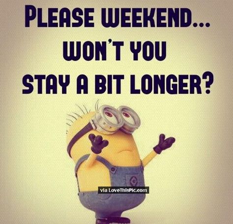 Please Weekend Stay Longer minions sunday sunday quotes happy sunday tomorrows monday sunday humor sunday quote happy sunday quotes minion quotes funny sunday quotes weekends over quotes Minions Pics, Funny Monday, Sunday Humor, Funny Weekend Quotes, Minions Images, Sunday Quotes Funny, Minions Humor, Minion Pictures, Minion Jokes