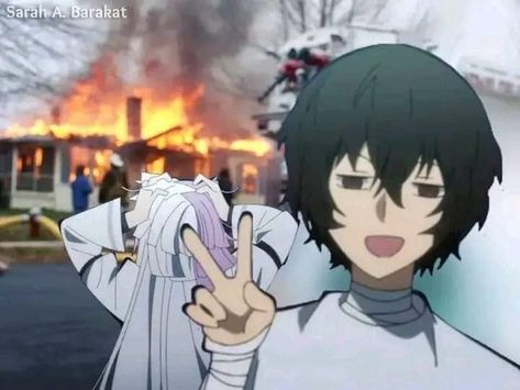 Bungou Stray Dogs Wallpaper, Bungou Stray Dogs Characters, Dazai Bungou Stray Dogs, Silly Dogs, Dog Wallpaper, Dazai Osamu, Im Going Crazy, Anime Meme, Bongou Stray Dogs