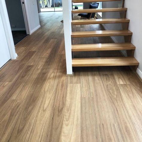 Blackbutt Hybrid Flooring, Hybrid Flooring Australia, Hybrid Flooring, Hardwood Floor Colors, Floor Boards, Coastal Lifestyle, Street House, Hamptons House, Floor Colors