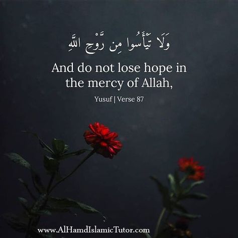 Mercy Quotes, Hope Verses, Islamic Quotes In English, Coran Quotes, Always Love You Quotes, Dont Lose Hope, Imam Ali Quotes, Allah Quotes, Ali Quotes