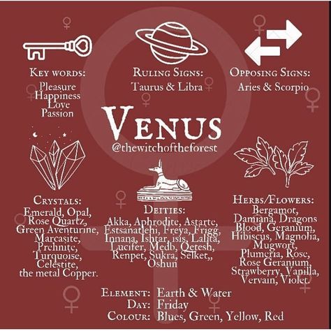 Venus Astrology, What Is Spirituality, Aries And Scorpio, Aphrodite Goddess, Sick Of People, Tarot Astrology, Water Day, The Planets, Ancient Knowledge