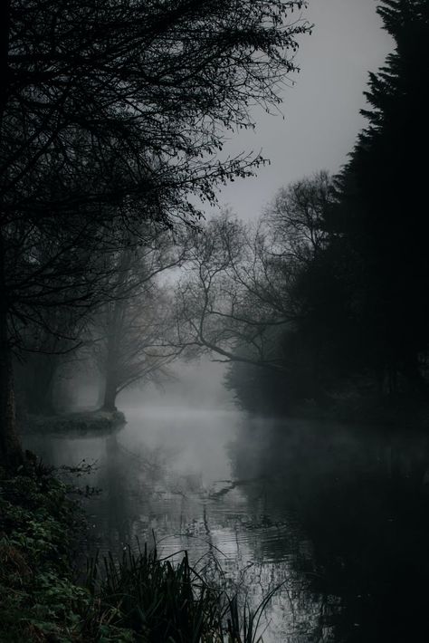 Aesthetic Universe, Forest And Lake, Dark Naturalism, Dark Forest Aesthetic, Ivy House, Dark Green Aesthetic, Creepy Pictures, Foggy Forest, Dark Nature Aesthetic