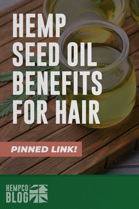 Skin Care, General Health, And... Hair Too!? What can't Hemp do?! Head to the pinned link for a full rundown on how Hemp can help you achieve the style of your dreams! Hemp Oil For Hair, Hemp Cosmetics, Hemp Farming, Skincare 101, Margaret River, Hemp Seed, Oil Benefits, Hemp Seed Oil, Daily Skin Care Routine