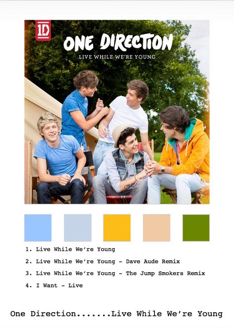 Niall Horan Color Palette, Album Colours, The Show Niall Horan, Polaroid Albums, Album Bracelets, Alt Posters, 5sos Wallpaper, Facial Expression, Cute Poster