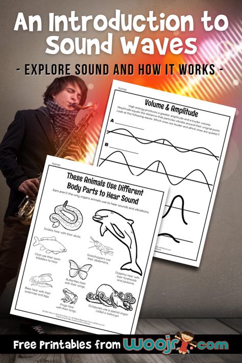 An Introduction to Sound Waves for Kids | Woo! Jr. Kids Activities Light And Sound Stem Activities, Teaching Sound Waves, Sound Wave Experiment, Science Sound Activities, Sound Experiments 4th Grade, Teaching Sound Science, Sound Stem Activities For Kids, Sound Activities For Kids, Sound Stem Activities