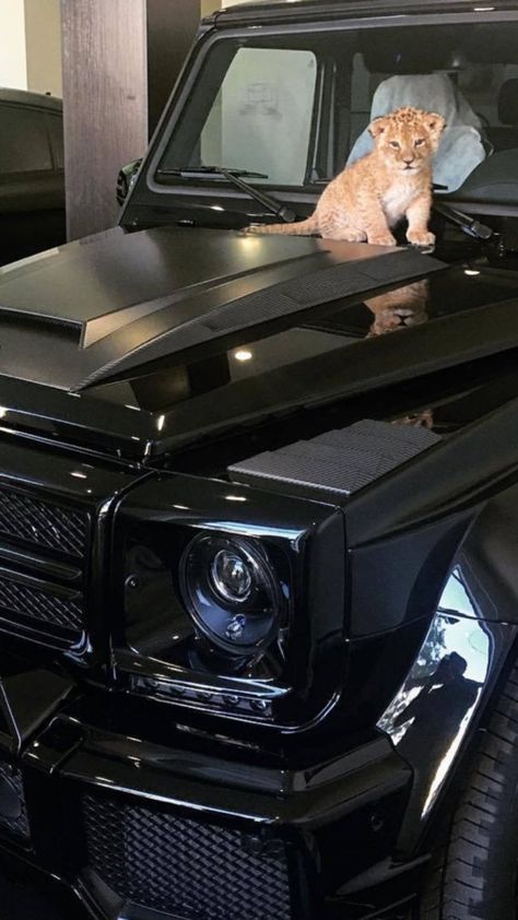 Dream Cars Mercedes, Baby Animals Pictures, Baby Lion, Luxury Aesthetic, G Class, Fancy Cars, Pretty Cars, G Wagon, My Dream Car